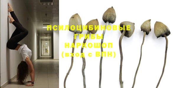 ПСИЛОЦИБИНОВЫЕ ГРИБЫ Аркадак