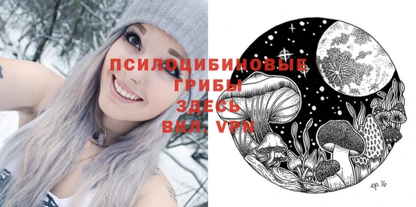 ПСИЛОЦИБИНОВЫЕ ГРИБЫ Аркадак