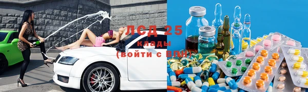 крисы Алзамай