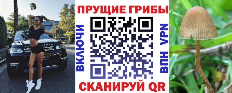 Галлюциногенные грибы GOLDEN TEACHER  Купить где  Белоозёрский 